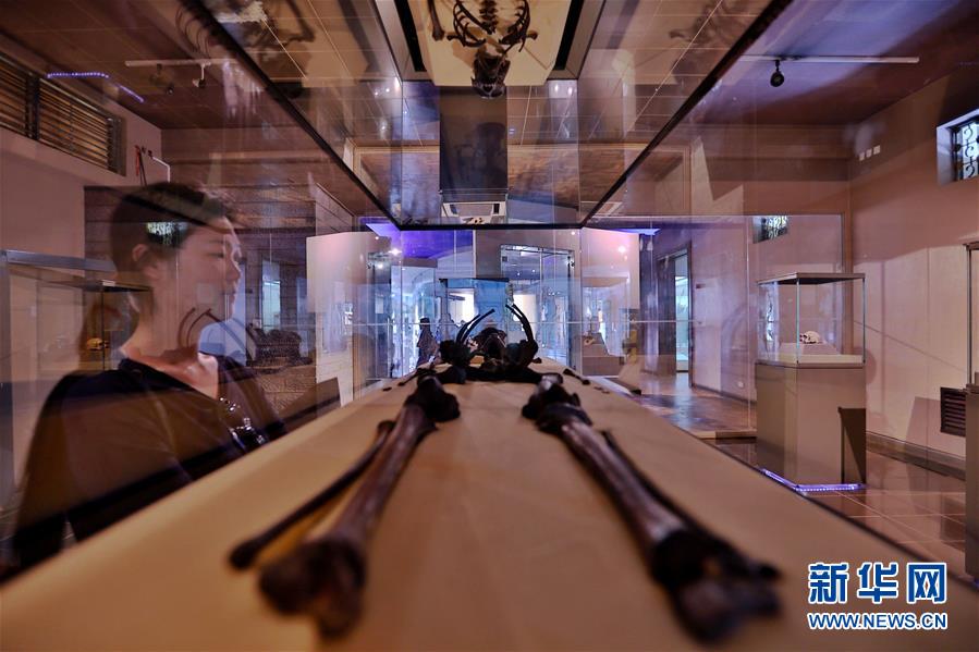 （國(guó)際）（11）探訪(fǎng)非洲博物館