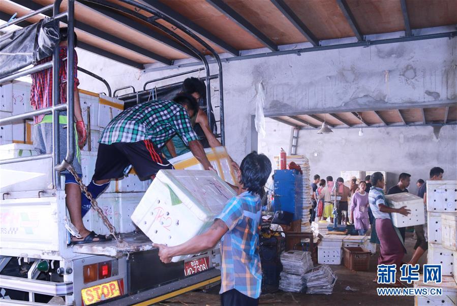 （新華全媒頭條&middot;圖文互動）（7）中國&mdash;東盟自貿區(qū)：&ldquo;黃金十年&rdquo;塑造世界經貿新格局