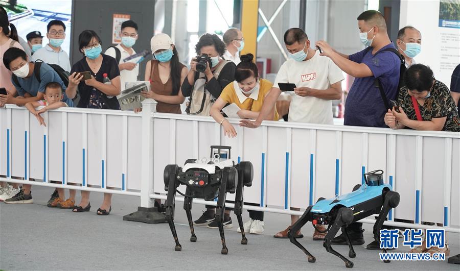 （2020服貿(mào)會(huì)）（19）各顯神通的&ldquo;機(jī)器伙伴&rdquo;