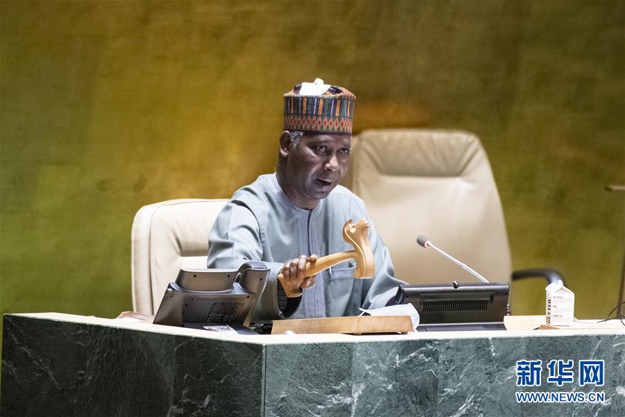 (國際)(2)聯(lián)合國大會通過新冠肺炎疫情決議