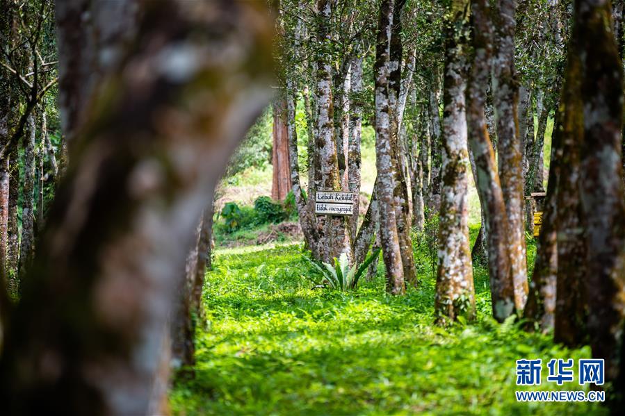 (第三屆進(jìn)博會(huì)·圖文互動(dòng))(3)專訪:進(jìn)博會(huì)提供了一個(gè)共享中國發(fā)展機(jī)遇的平臺(tái)