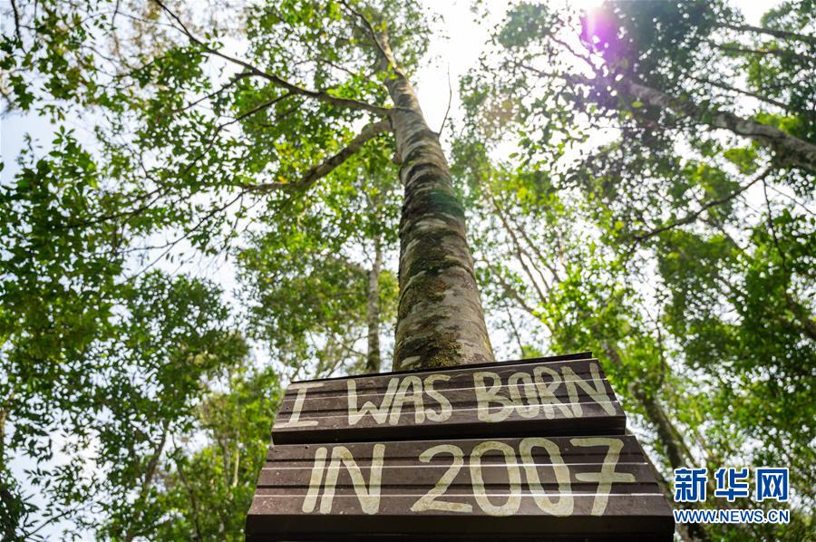 (第三屆進(jìn)博會(huì)·圖文互動(dòng))(4)專訪:進(jìn)博會(huì)提供了一個(gè)共享中國發(fā)展機(jī)遇的平臺(tái)