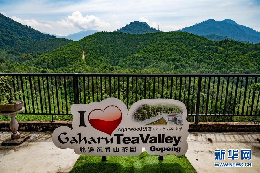 (第三屆進(jìn)博會(huì)·圖文互動(dòng))(11)專訪:進(jìn)博會(huì)提供了一個(gè)共享中國發(fā)展機(jī)遇的平臺(tái)