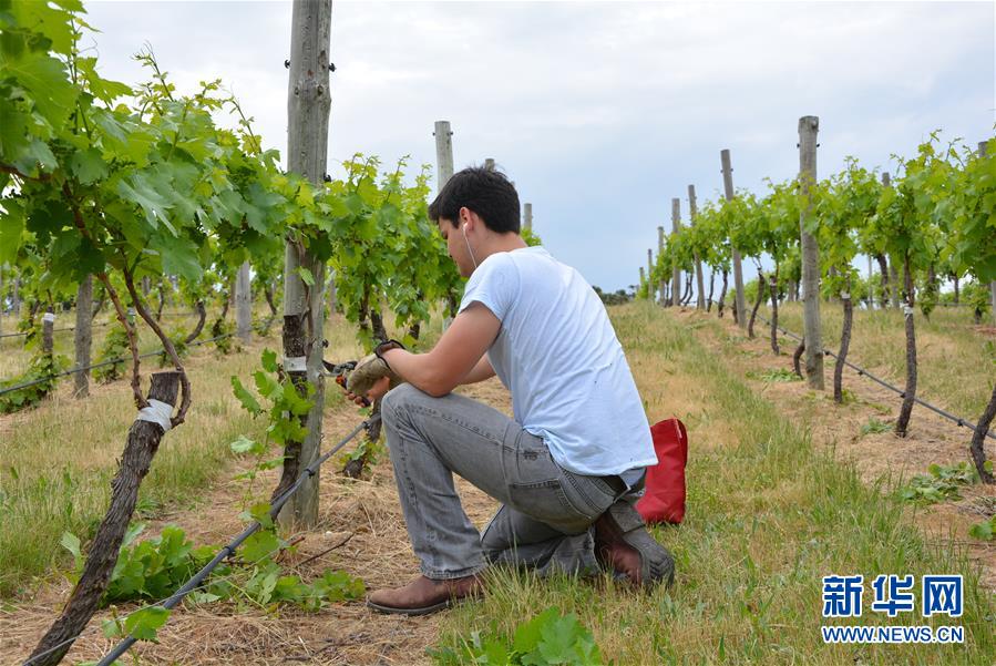 (第三屆進(jìn)博會·圖文互動)(7)專訪:進(jìn)博會是了解中國市場的好機會——訪澳大利亞諾瓦維塔葡萄酒集團(tuán)創(chuàng)始人卡臣