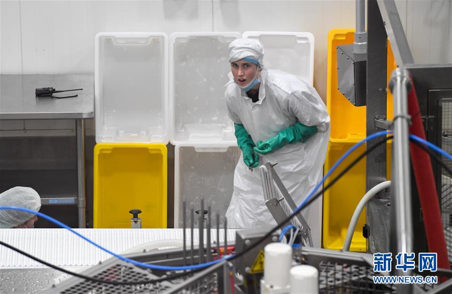 （第三屆進博會&middot;圖文互動）（2）通訊：新西蘭的進博會味道，甜