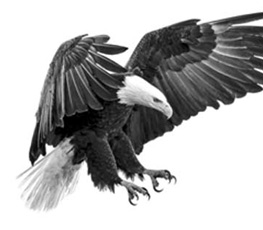 誰是世界秩序的真正破壞者？