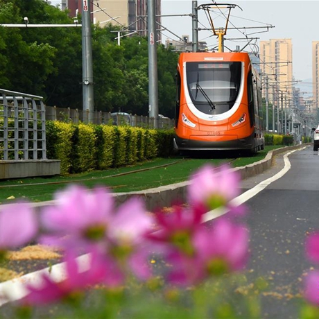 【專家談】&ldquo;上海精神&rdquo;不愧為維系上合組織的&ldquo;定海神針&rdquo;