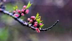 隨心而行，走走停停始終精彩。