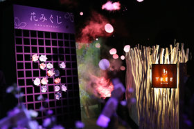 日本東京：寒冬時節(jié)賞&ldquo;繁花&rdquo;