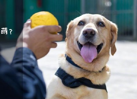 為了&ldquo;破冰&rdquo;，它們英勇無(wú)畏！