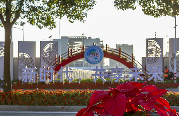 進(jìn)博之光輝耀世界&mdash;&mdash;寫在第二屆中國國際進(jìn)口博覽會開幕之際