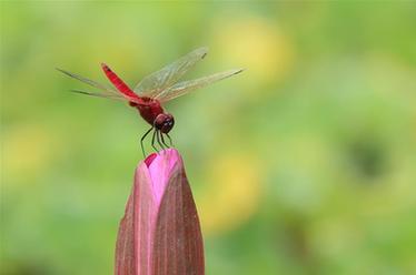 2019，精&ldquo;彩&rdquo;紛呈