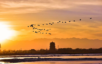 你想看的風景，這里都有