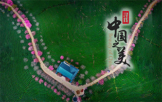 江山如畫，想把春的故事講給你聽